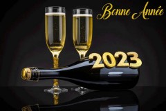 Verre de l'amitié pour fêter le Nouvel An 2023