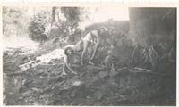 lavercantiere_colonie_032