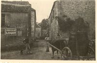lavercantiere_colonie_046